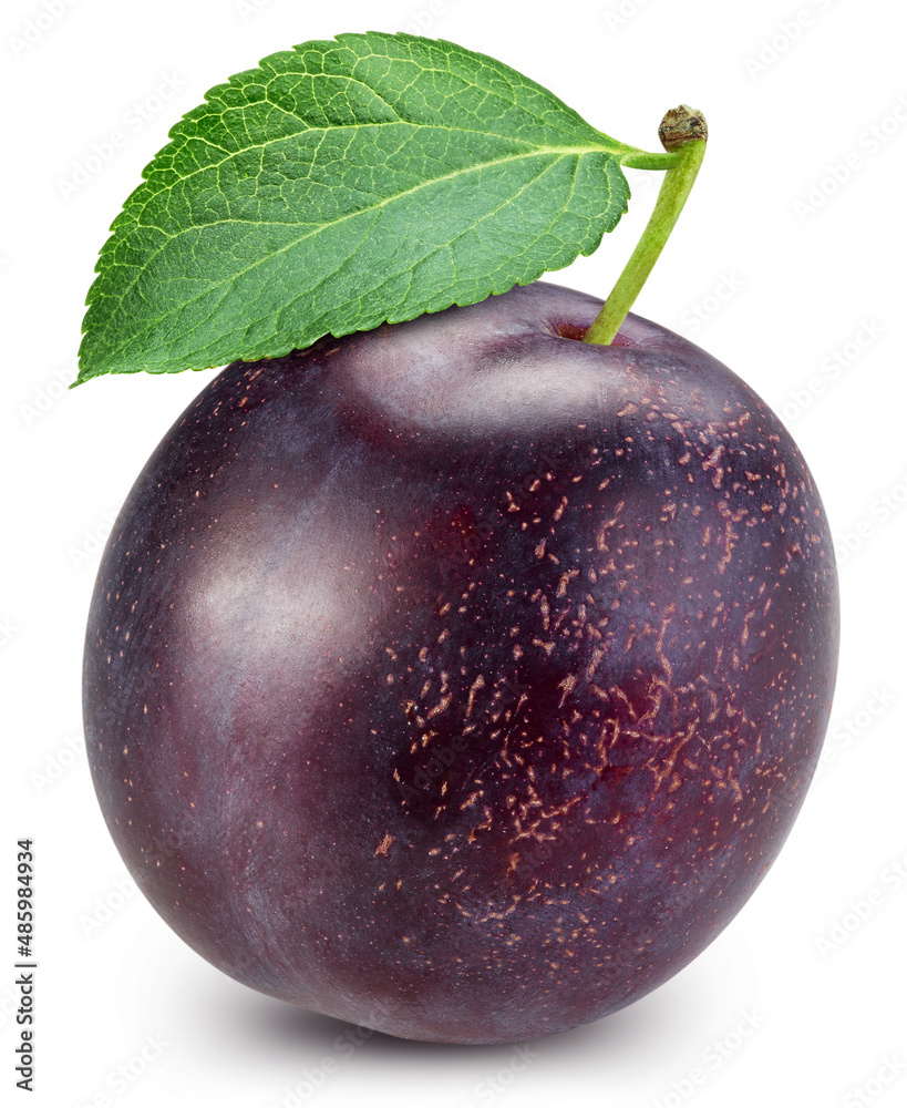 Plum. Plum isolated on white background. Plum macro. With clipping path