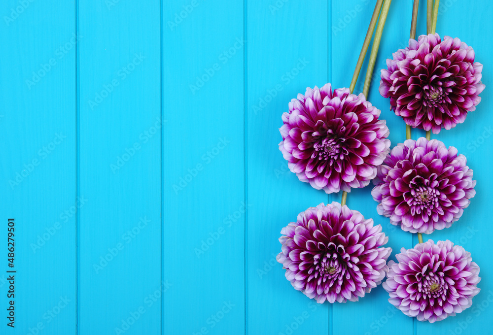  Flowers on blue painted wooden planks.