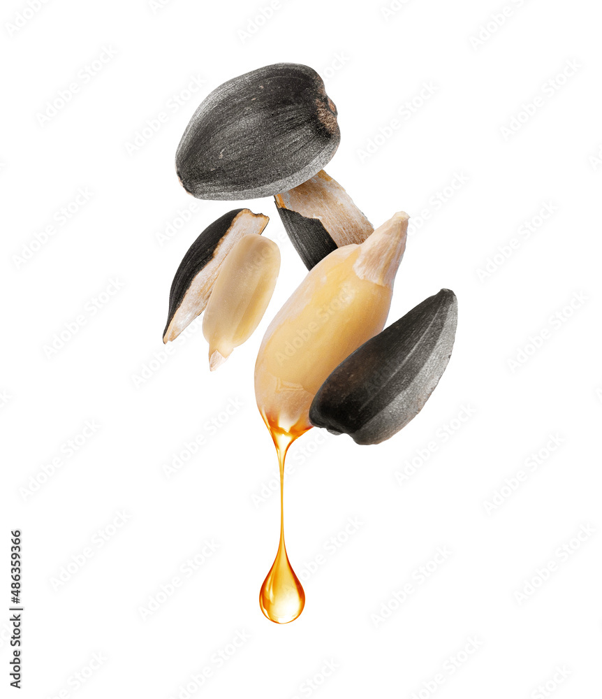 Drop of oil dripping from sunflower seed closeup on white background