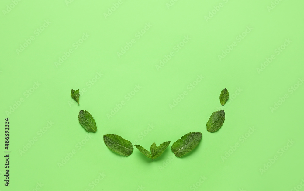 Organic mint leaves on color background