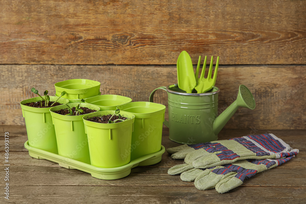 Tray with flower pots, gloves and gardening tools on wooden table