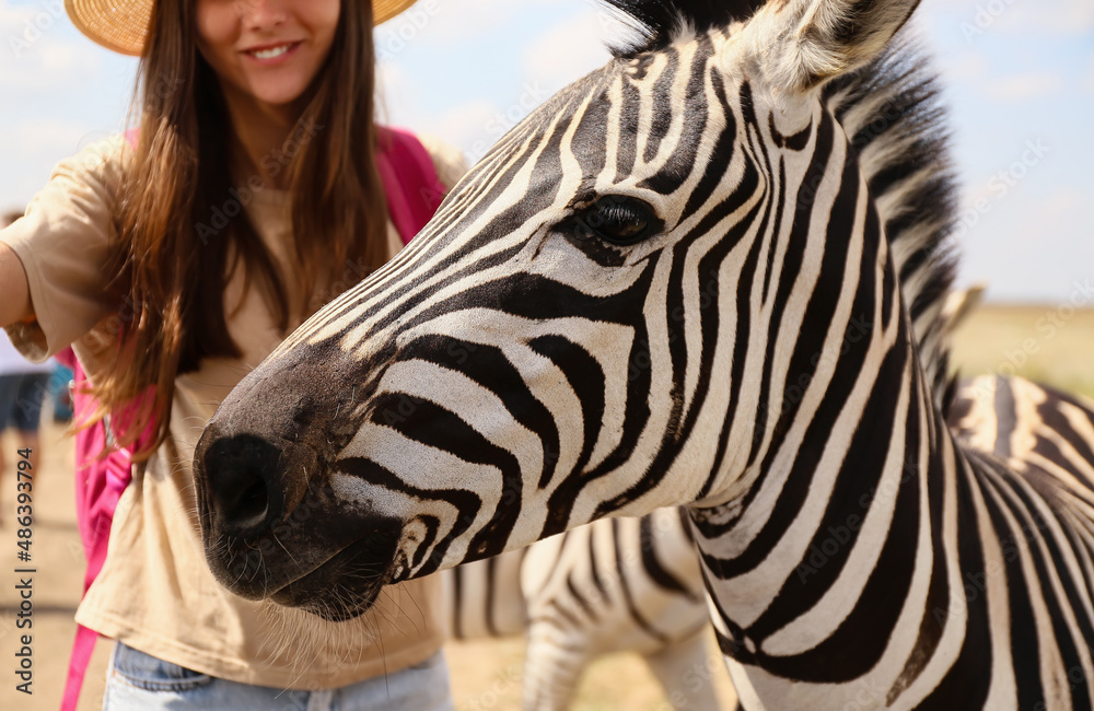 Female tourist with beautiful zebra in wildlife sanctuary