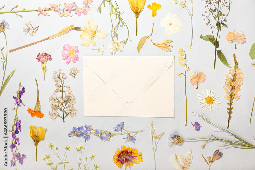 Composition with dried pressed flowers and envelope on light background