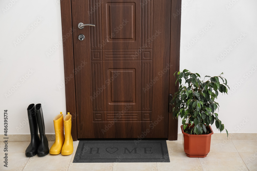 Black mat with gumboots and houseplant near dark wooden door