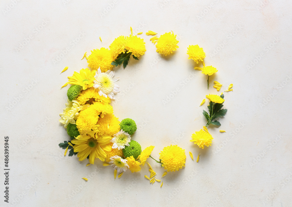 Frame made of beautiful chrysanthemum flowers on light background