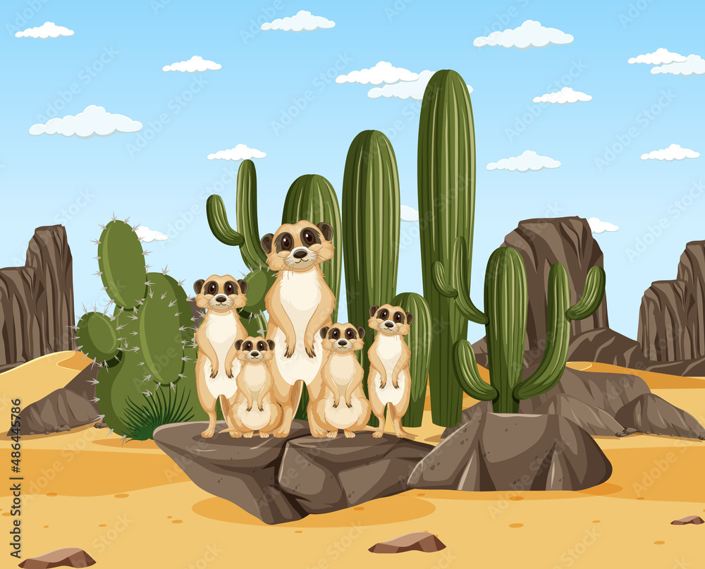 Desert scene with meerket group