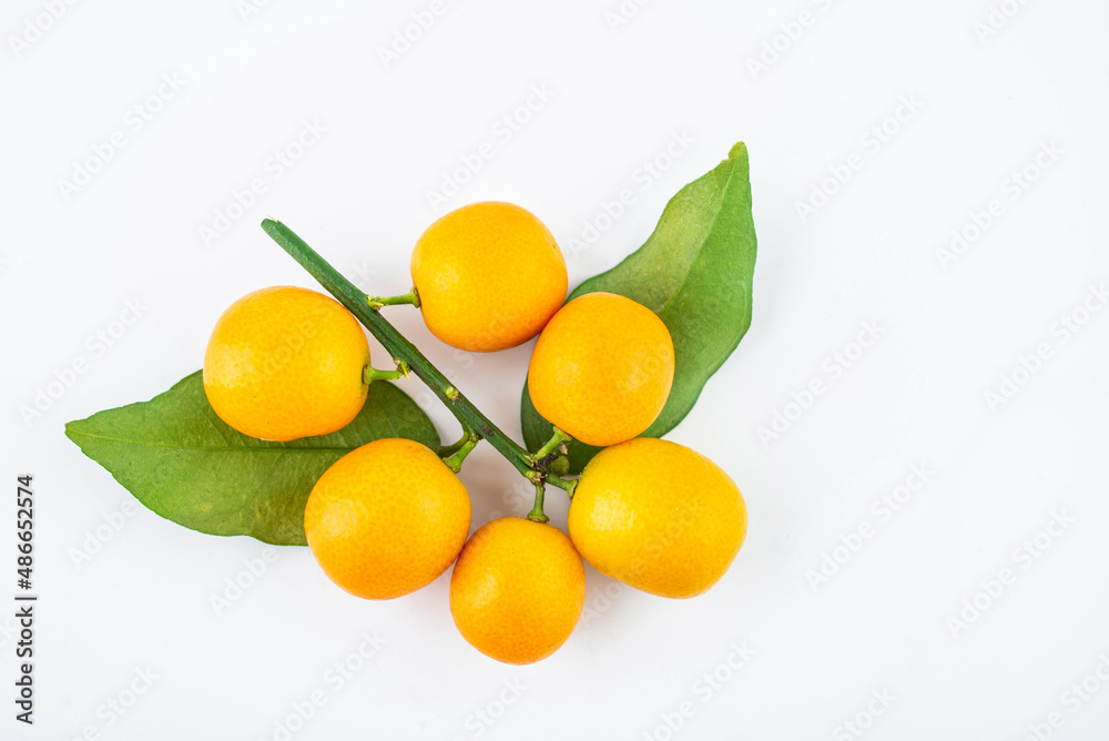 Fresh fruit kumquats on white background