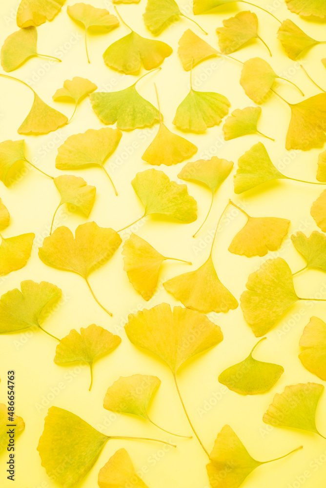 autumn ginkgo leaf poster background material