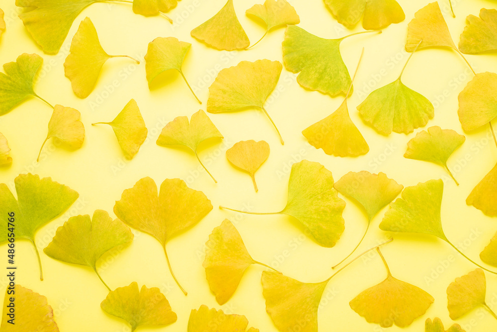 autumn ginkgo leaf poster background material