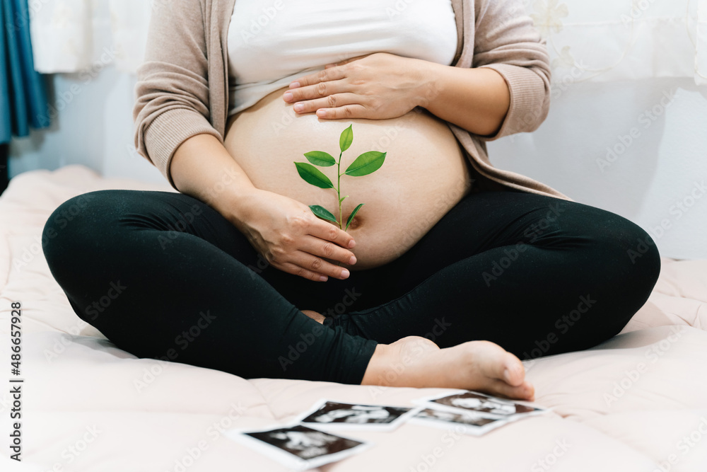 A Pregnant woman holds green sprout plant near her belly as symbol of new life, Mother, wellbeing, f