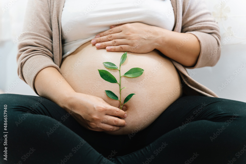 A Pregnant woman holds green sprout plant near her belly as symbol of new life, Mother, wellbeing, f