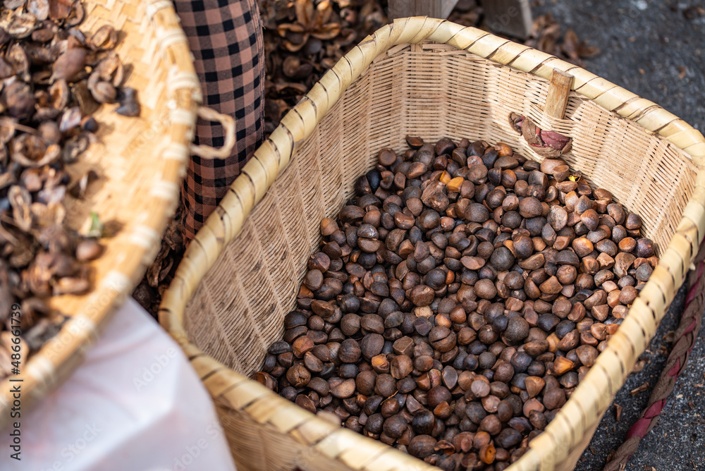 A basket of peeled camellia seeds