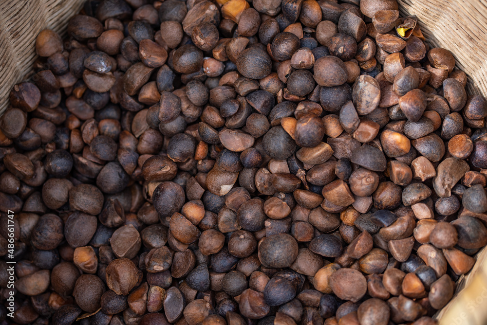 A basket of peeled camellia seeds