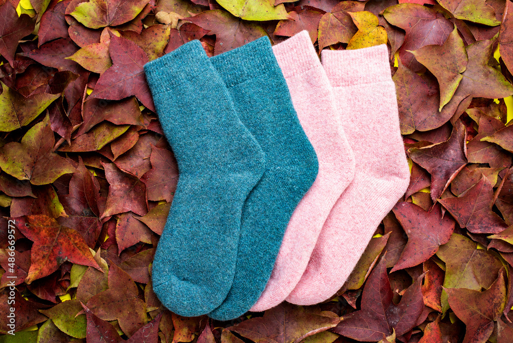 Cashmere socks on maple leaf background