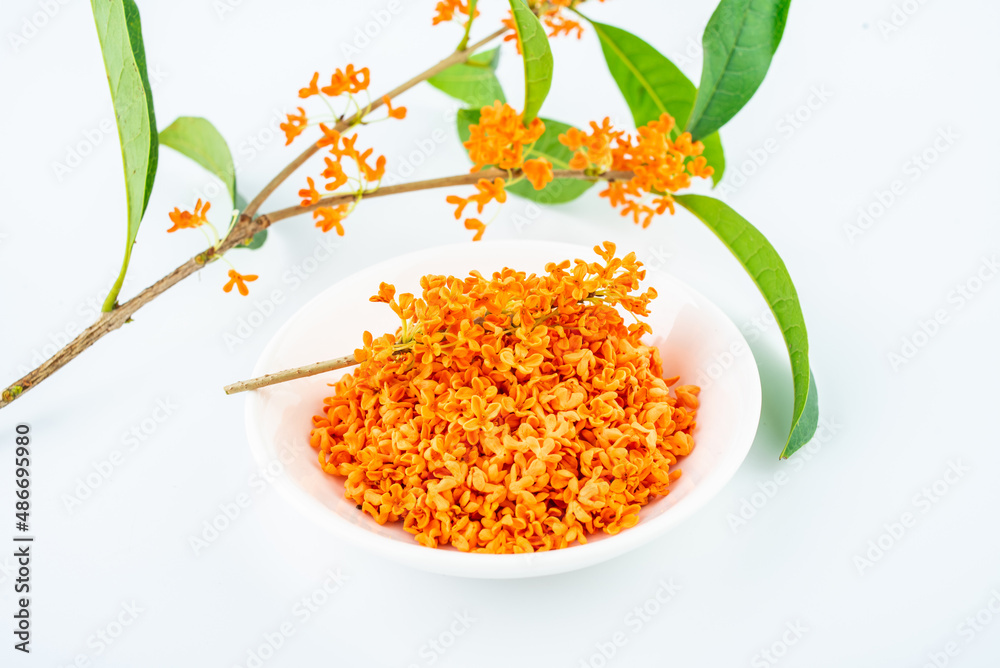 Fresh osmanthus flowers collected on white background