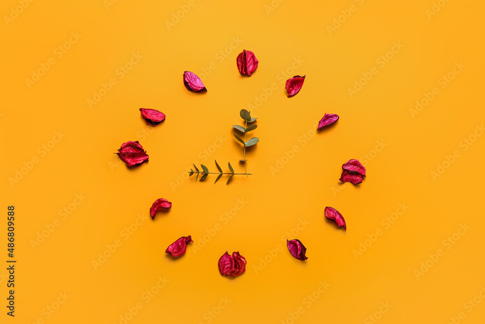 Clock made of flowers petals and eucalyptus branches on color background