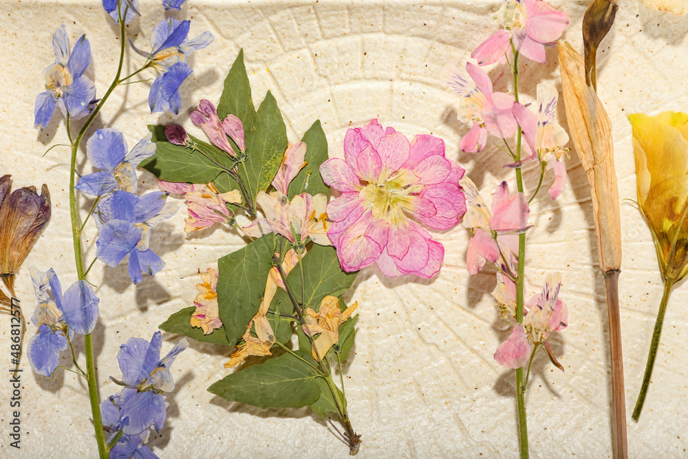 Composition with dried pressed flowers on plate, closeup