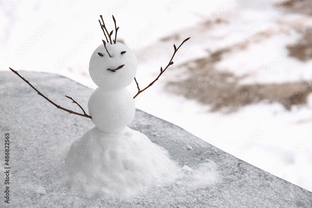 冬日里可爱的雪人