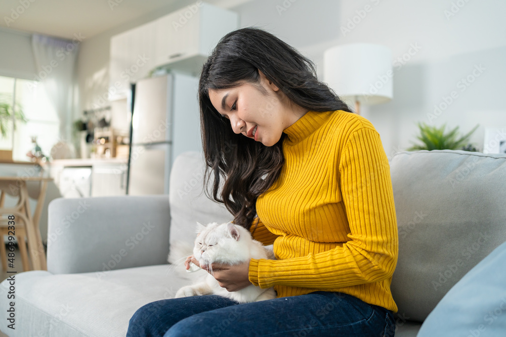 Asian woman holding and play with little cat with happiness at home. 