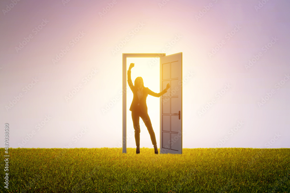 Successful female standing in front of bright door in abstract interior with concrete wall, grass la