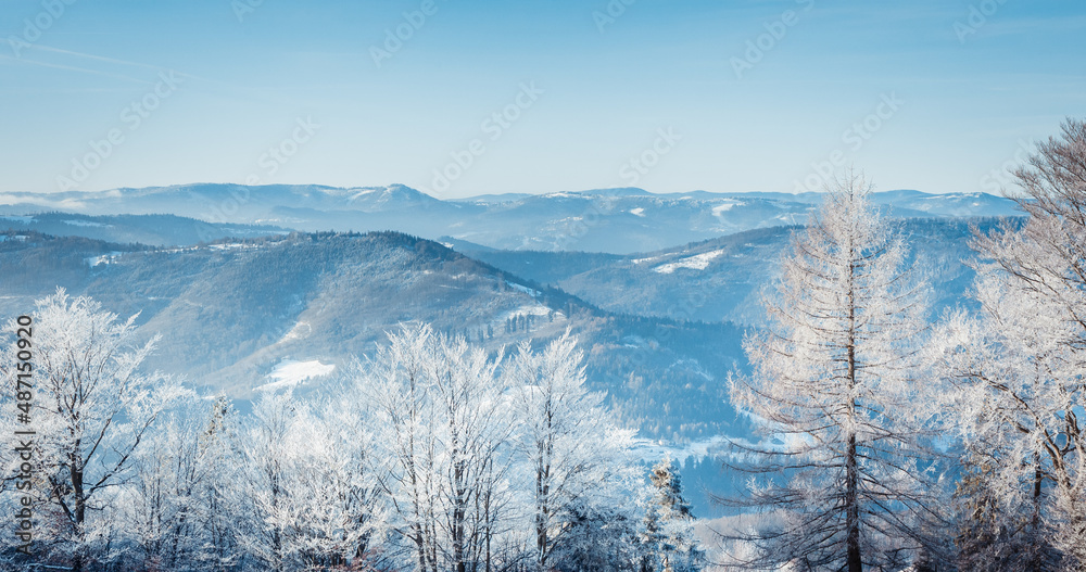 冬季树木、山脉景观覆盖着新鲜的雪.jpg