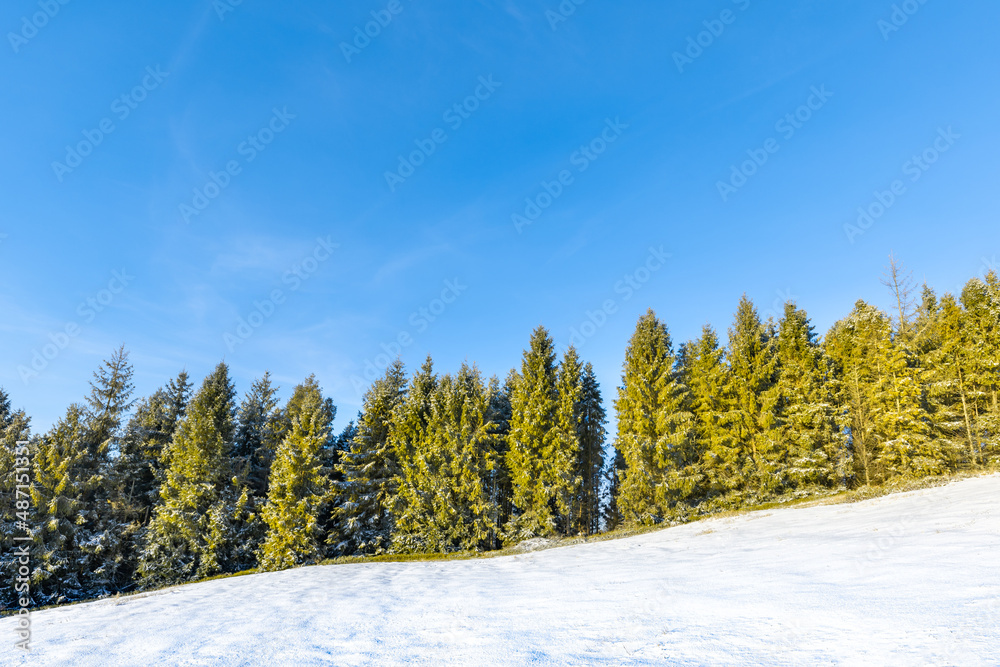 天空的雪和树木背景