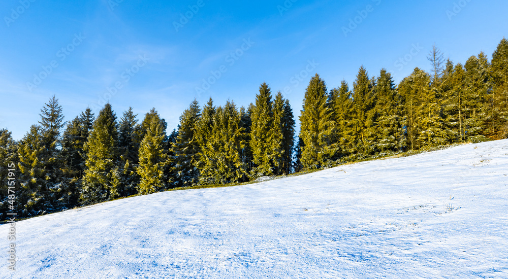 雪山上的一排树的冬季背景