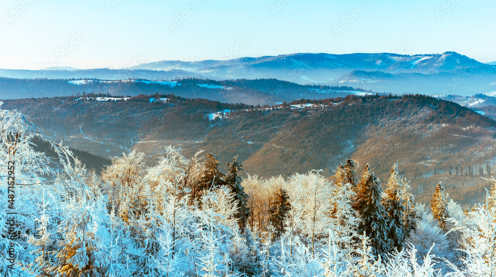 Background with winter mountains and trees covered snow