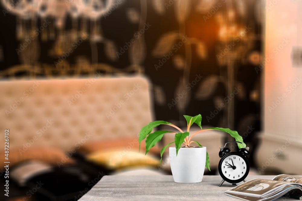 Alarm clock with magazines and houseplants on table in bedroom at home