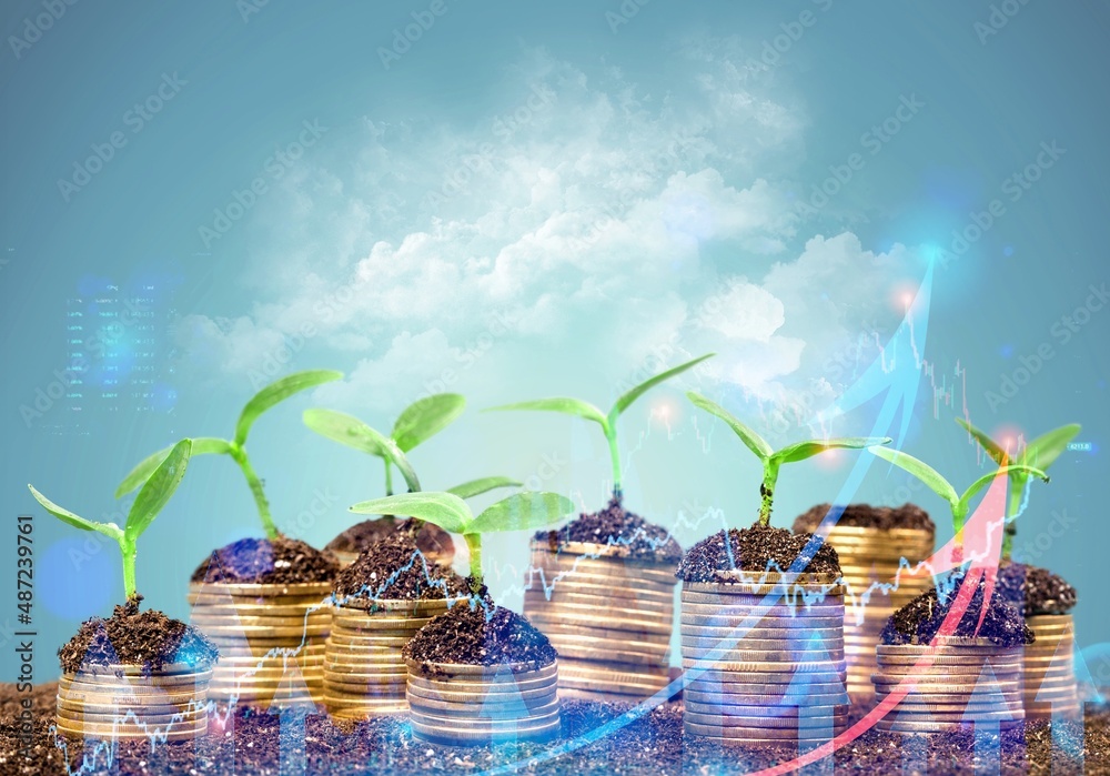 Stacking of coins with plants growing for financial and business background. Savings and Accounts