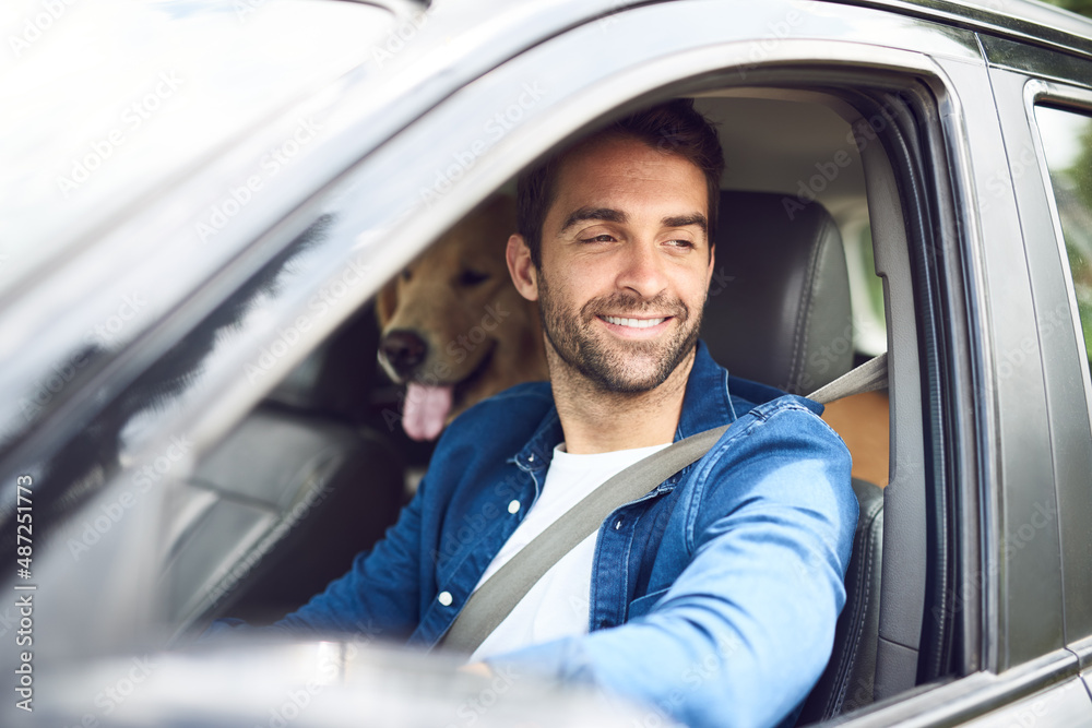 Looks like were here, boy. Cropped shot of a handsome young man taking a drive with his dog in the b