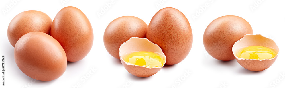 Chicken egg isolated clipping path