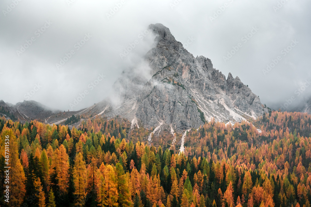 Incredible autumn view at Italian Dolomite Alps. Orange larches forest and foggy mountains peaks on 