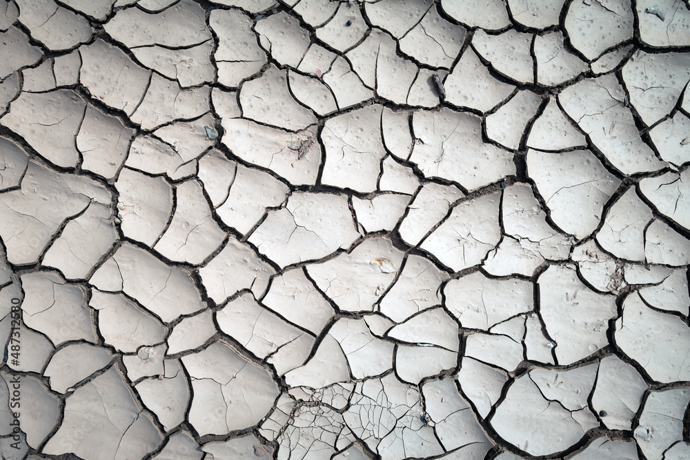 Cracked land texture. Beautiful nature background for your project