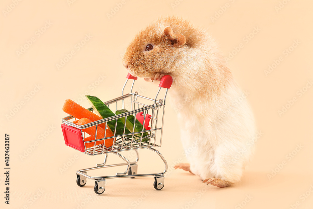 Funny Guinea pig and shopping cart with vegetables on beige background