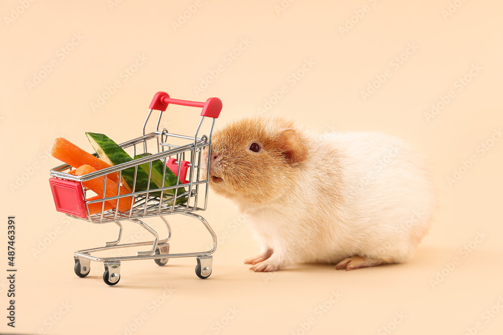 Funny Guinea pig and shopping cart with vegetables on beige background