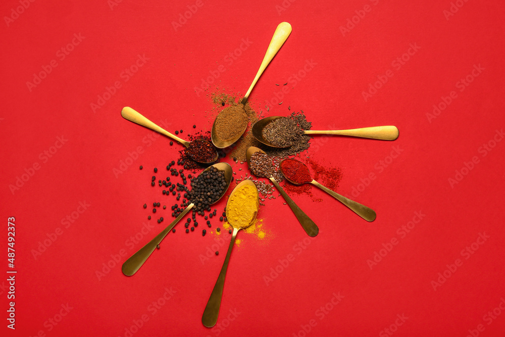 Composition with spoons of different spices on red background