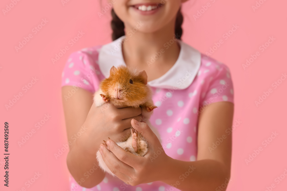 Little girl with cute guinea pig on pink background, closeup