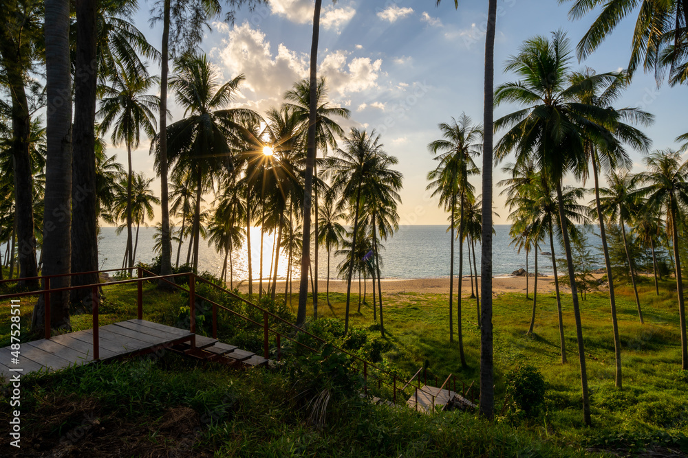 Silhouette coconut palm trees at sunset or sunrise sky over sea Amazing light nature colorful landsc