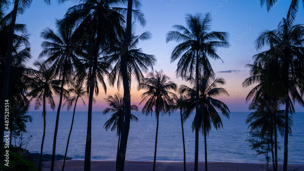 Silhouette coconut palm trees at sunset or sunrise sky over sea Amazing light nature colorful landsc