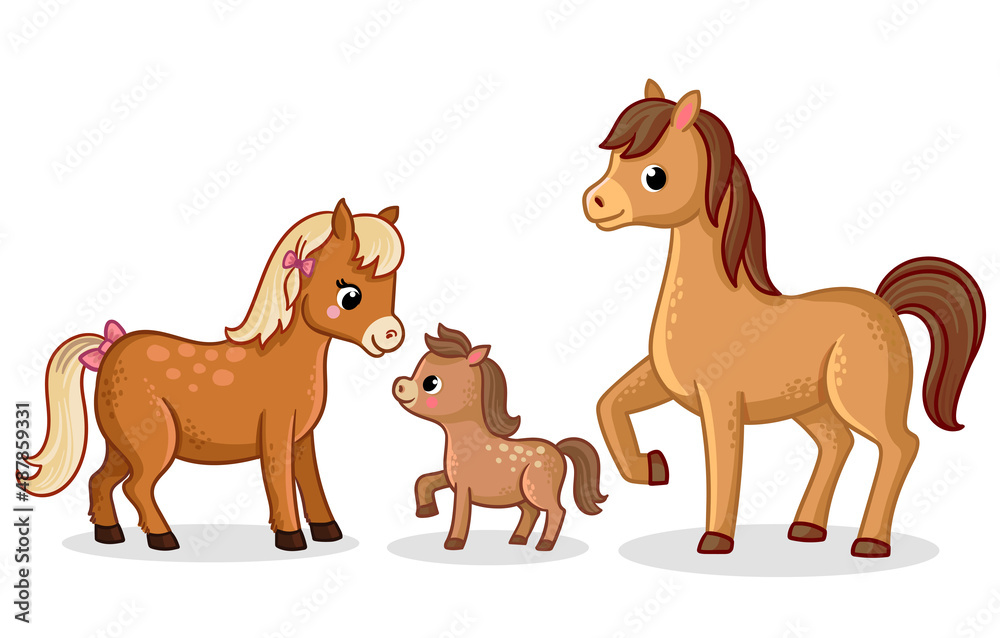 Family of horses stands. Vector illustration with horses and foal in cartoon style.