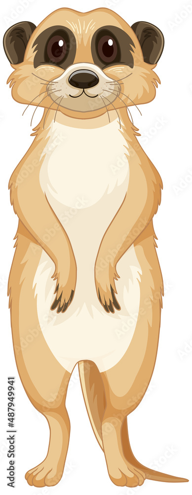 Isolated meerkat in cartoon style