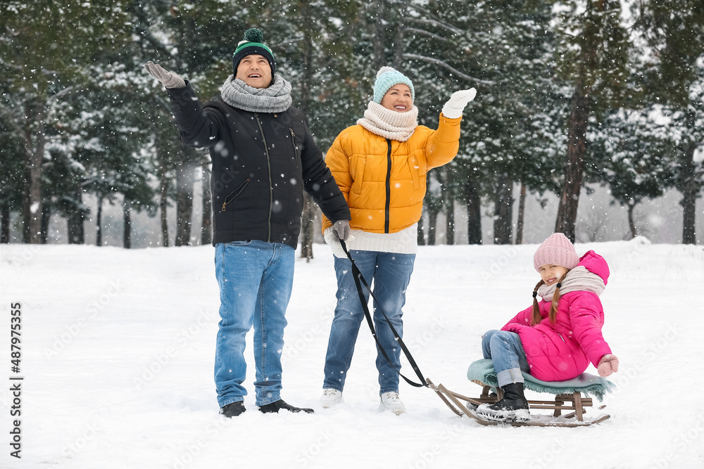 Little girl with her grandparents sledging on snowy winter day