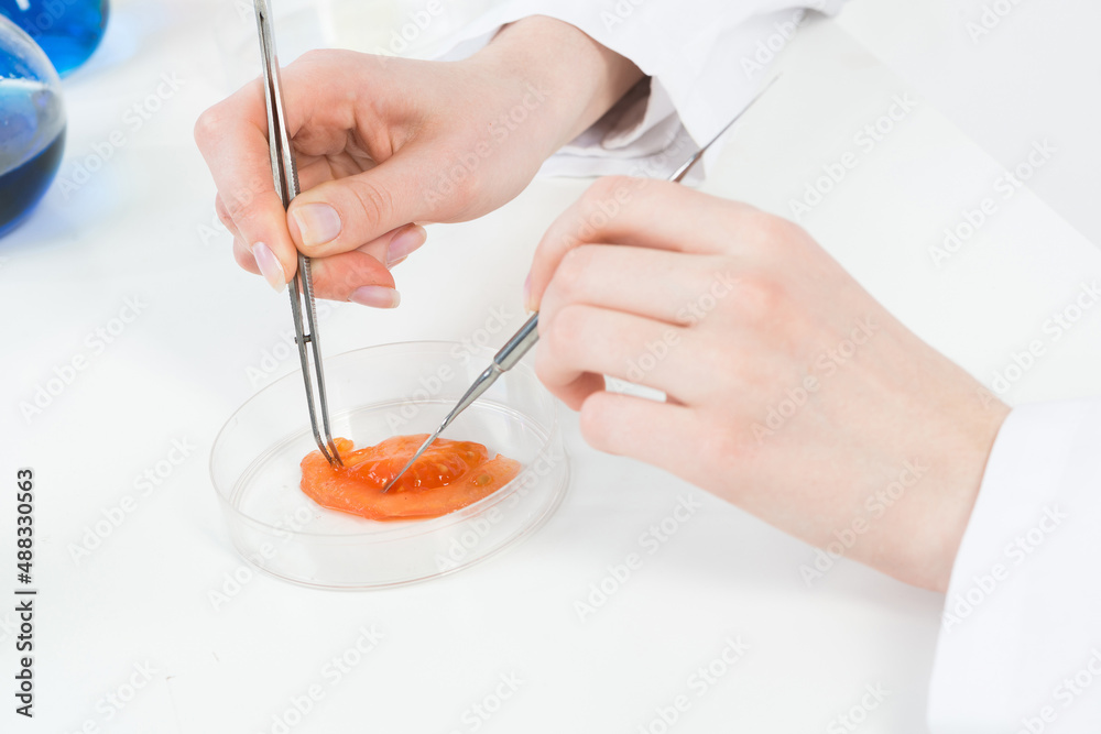 Microbiologist researching sample in petri dish.