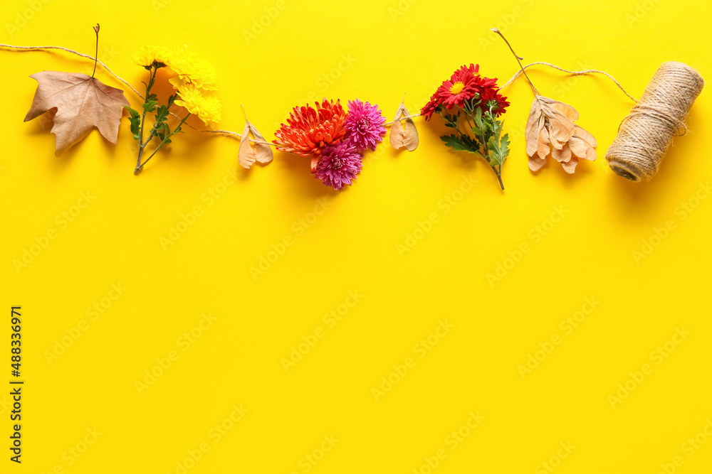 Composition with fresh chrysanthemum flowers and rope on yellow background