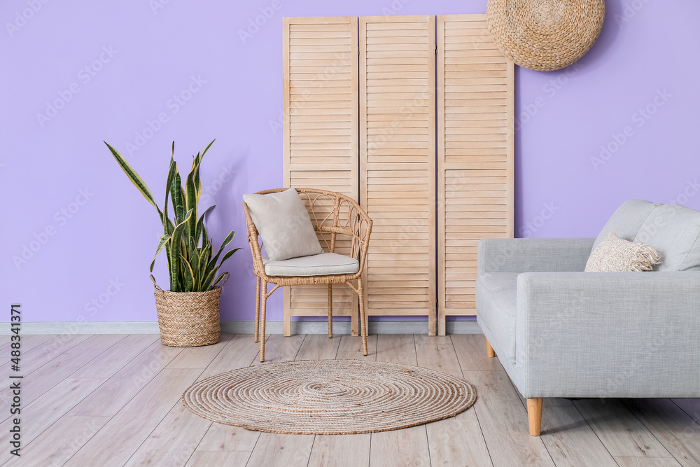 Interior of room with sofa, chair and houseplant near violet wall