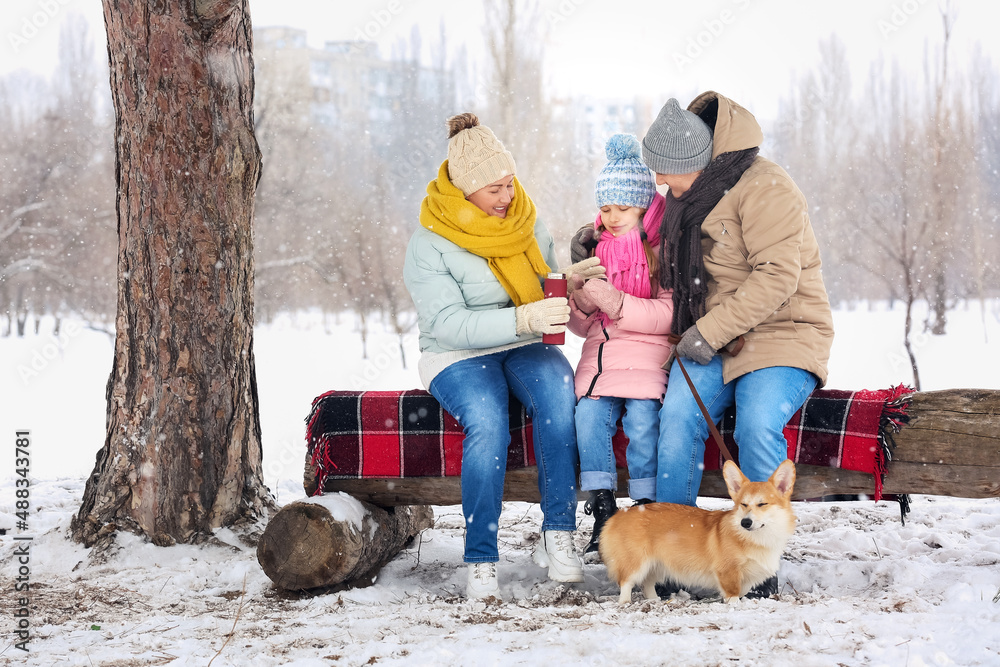 Little girl, her grandparents with thermos and Corgi dog in park on snowy winter day