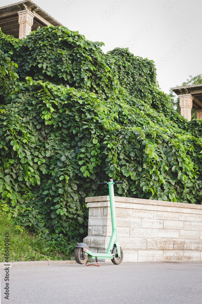 Electric scooter standing against stone wall with green park in the background. E-scooter or kick sc