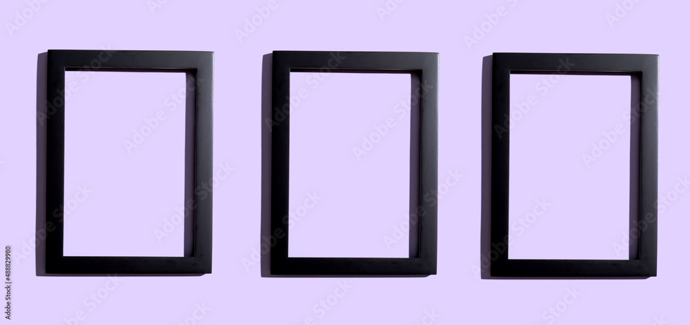 Blank rectangle picture frames with copy space