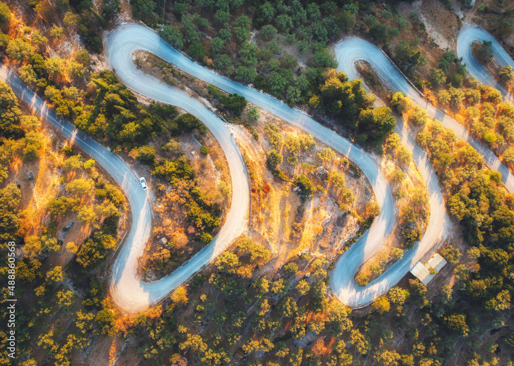 Aerial view of winding road in beautiful green forest at sunrise in summer. Top view of mountain roa